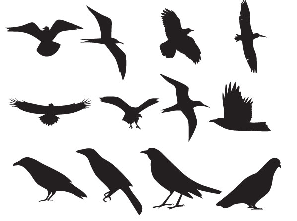 Flying Birds Silhouettecategory Vector Graphics Clipart - Free 