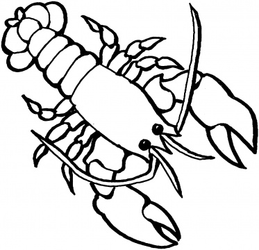 Free Lobster Pictures For Kids, Download Free Pictures For Kids png images, Free on Clipart Library