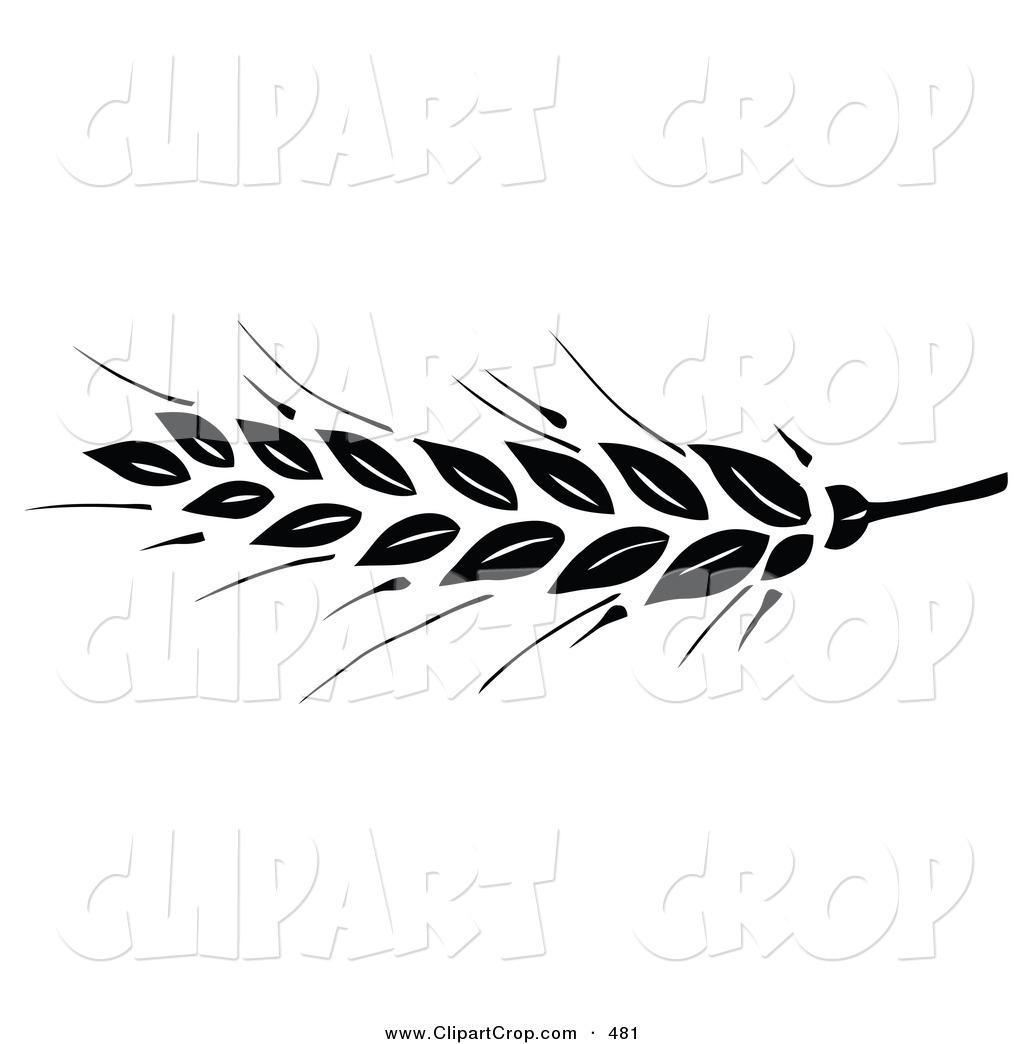 Clip Art Vector of a Black Wheat Head on the Tip of a Stem on a 