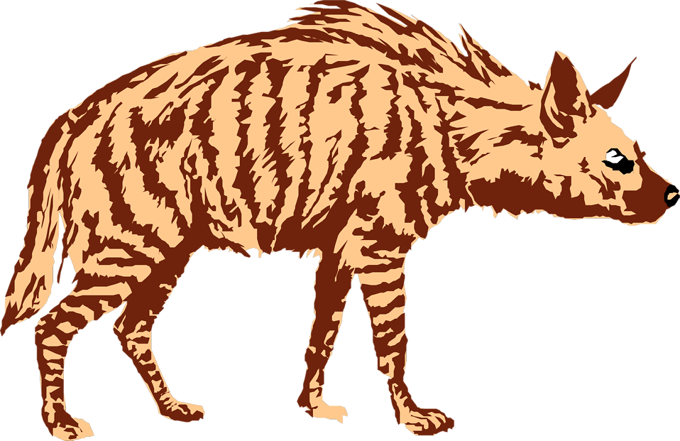 Striped Hyena Illustration - Wildlife Art & Conservation Resource