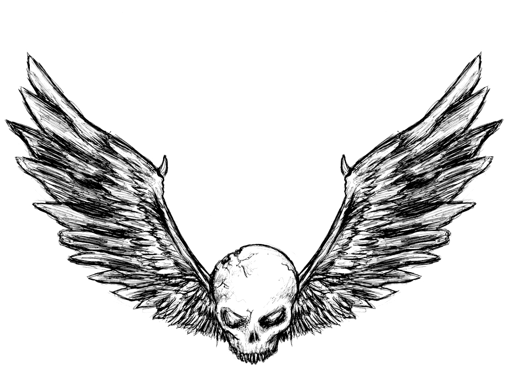 Skulls With Wings Drawings Images  Pictures - Becuo
