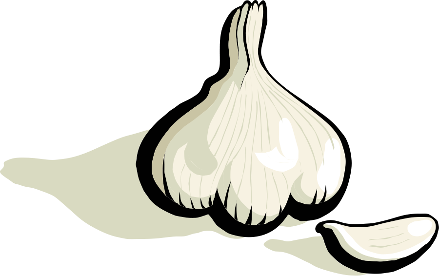 Garlic 20clipart