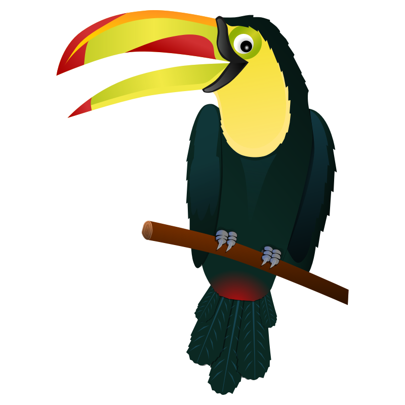 tropical bird clip art