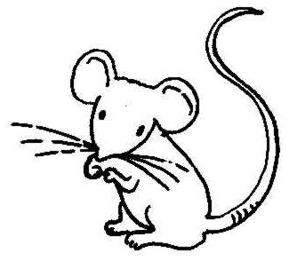 Simple black-and-white line drawing of a cartoon mouse sniffing with whiskers extended and tail curled upward.
