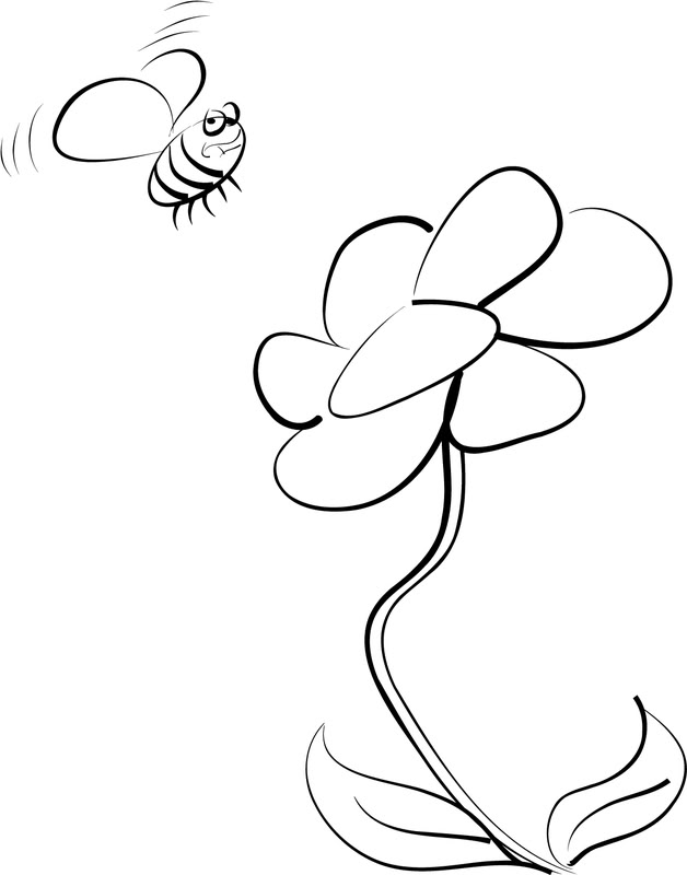 bee and flower drawing