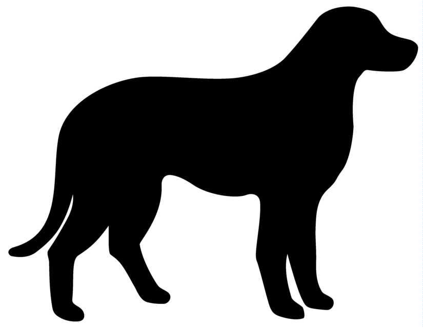 Lab Dog Outline Catjpeg Blackdogjpg Clipart - Free Clip Art Images