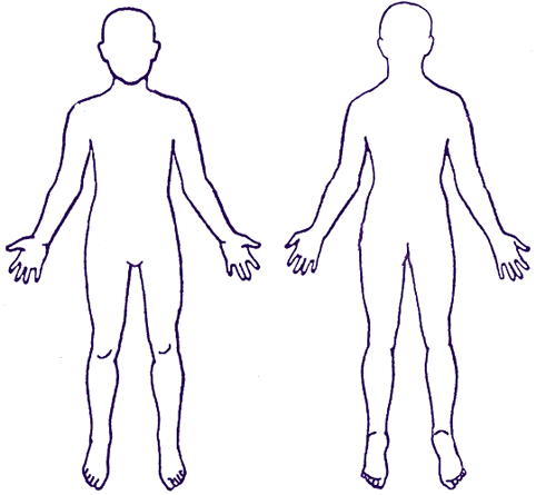 Human Body Outline Diagram - Front and Back View for Education & Design