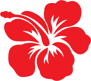 Free Cartoon Hibiscus, Download Free Cartoon Hibiscus png images, Free ...