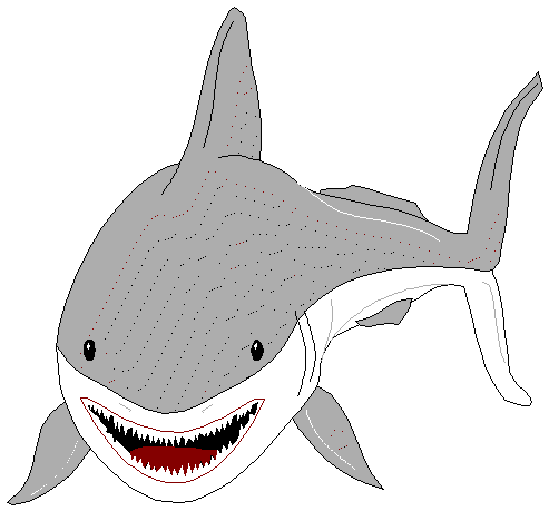 Moving Shark Animation images