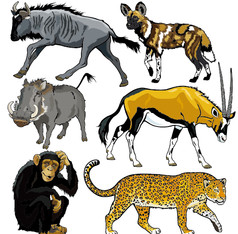 Vector set of wild animals design graphic 08 - Vector Animal free 