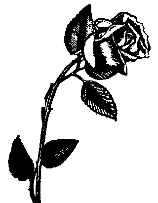 rose silhouette clip art image search results - Clipart library 