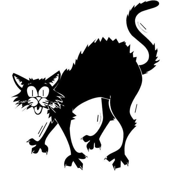 Free Scared Cat Pictures, Download Free Scared Cat Pictures png images