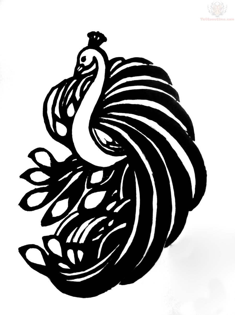 Drawing Fantasy Elegant Peacock White Stock Vector by ©Ksyshakiss 235870150