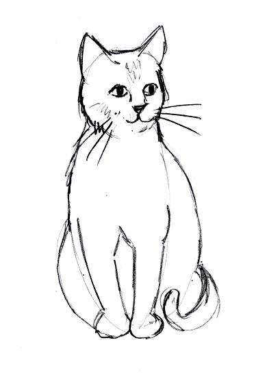 Premium Vector  Domestic cat realistic vector sketch illustration the sign  of the cat