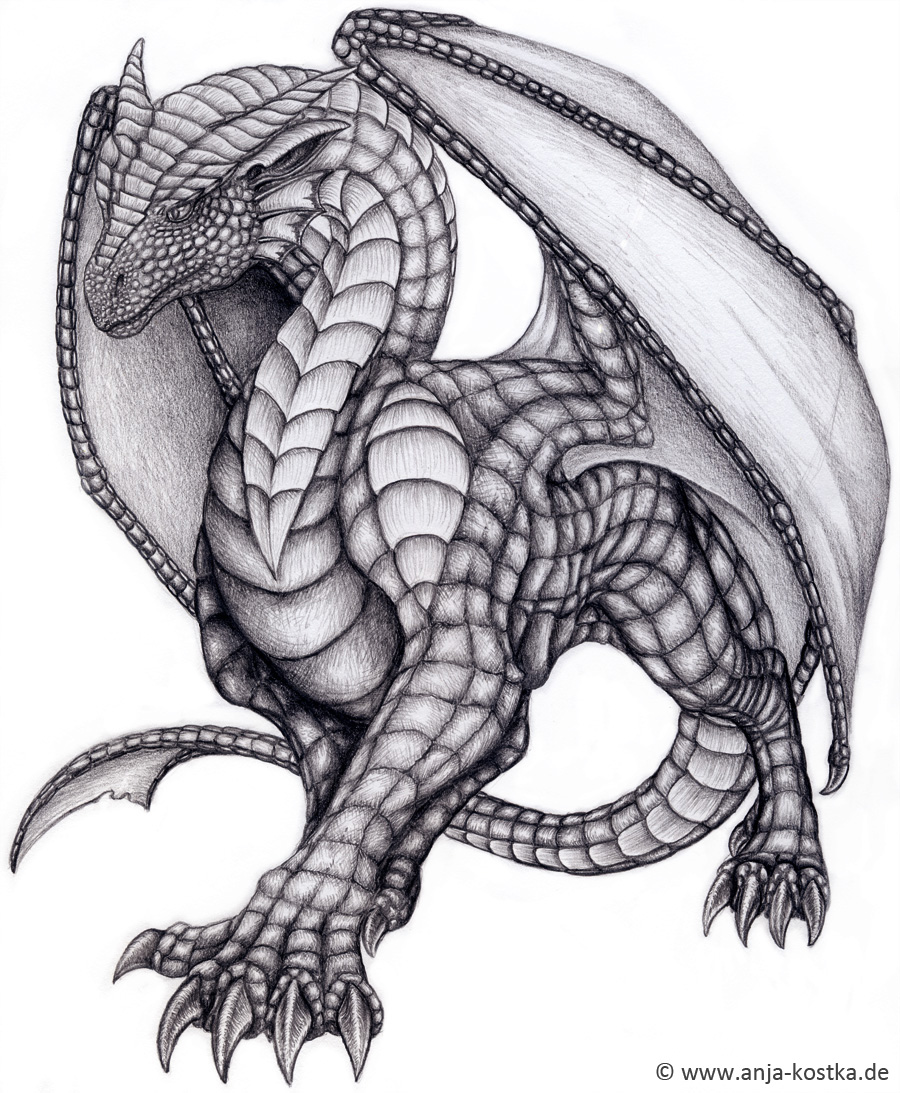 Premium Vector  Great dragon art drawing illustraton