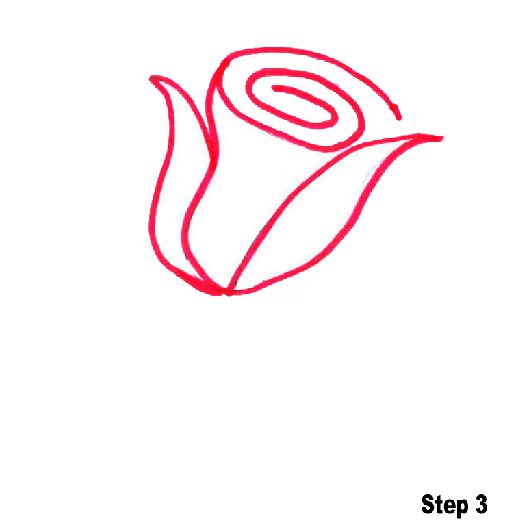 How to Draw a Rose step by step Easy - YouTube