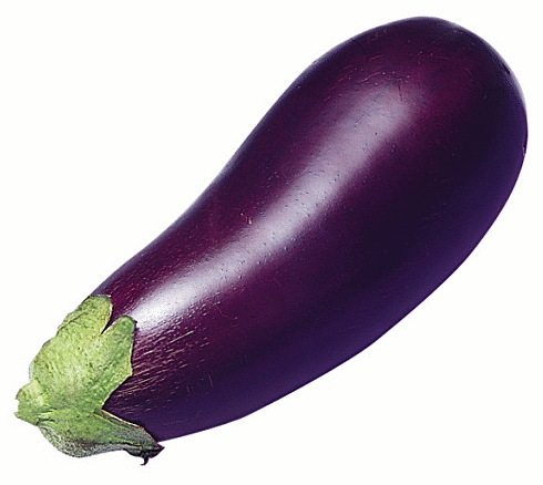 Free Eggplant Clipart. Free Clipart Images, Graphics, Animated 