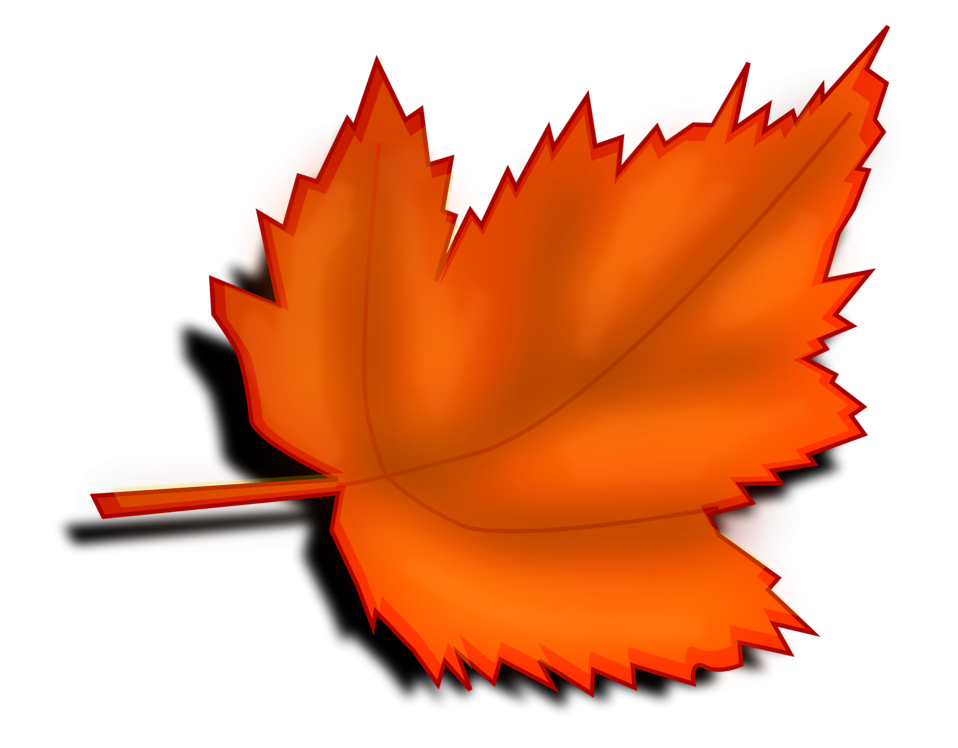 Free Stock Photos | Illustration of an orange autumn leaf 