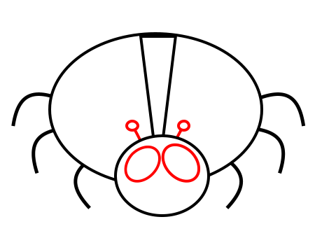 Homework for Draw A Box Lesson 4: Applying Construction to Insects and  Arachnids - Imgur