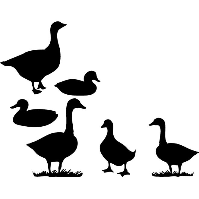 Duck Vector Art 