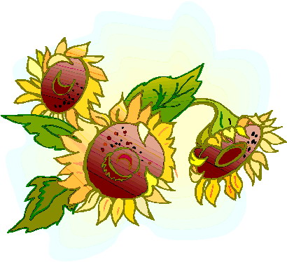 Three stylized sunflowers with expressive faces, green leaves, and yellow petals in a whimsical illustration.