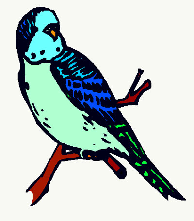 Stylized illustration of a blue and green budgerigar parakeet perched on a branch with bold outlines and vibrant colors.