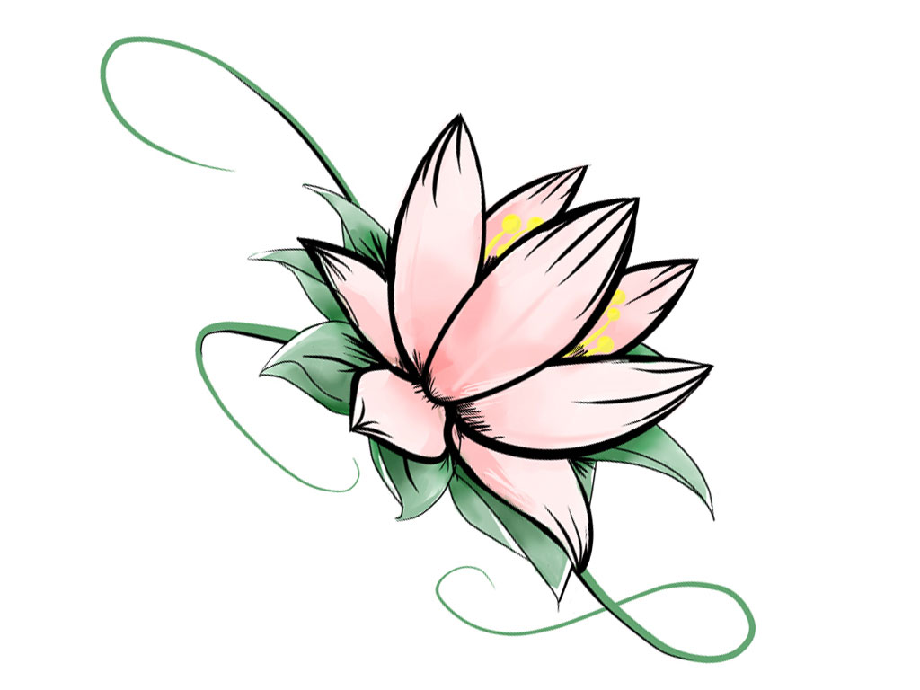 White flower Egyptian lotus Nelumbo nucifera Tattoo Flower Drawing lotus  white leaf chinese Style png  PNGWing