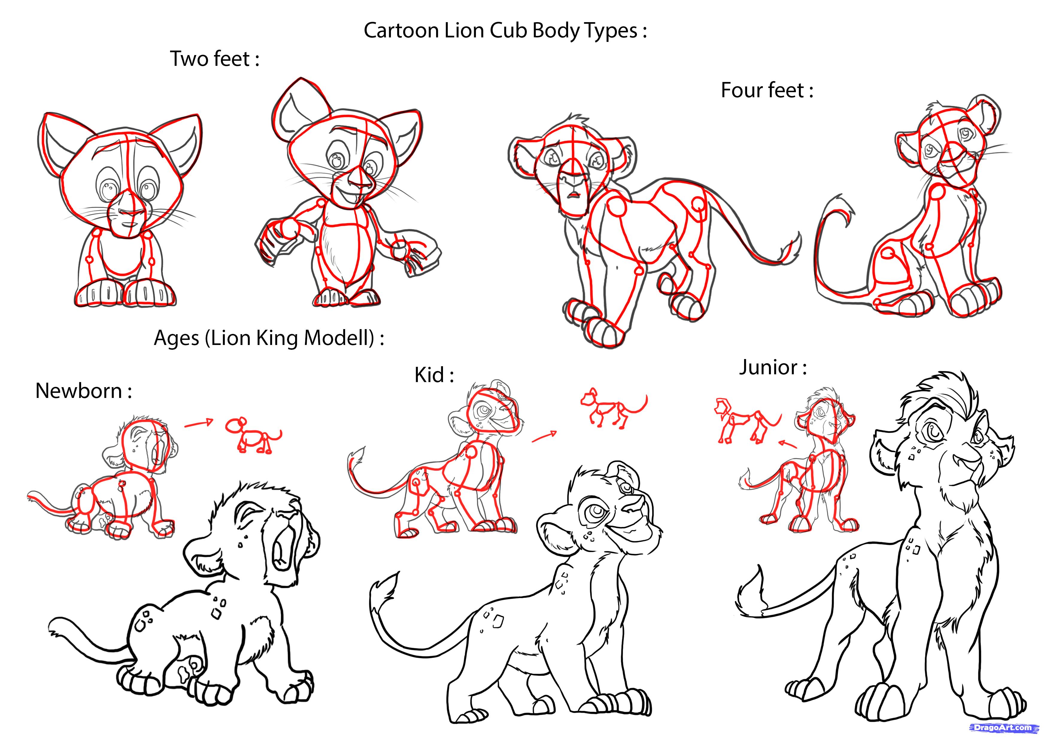 draw a lion cub step - Clip Art Library