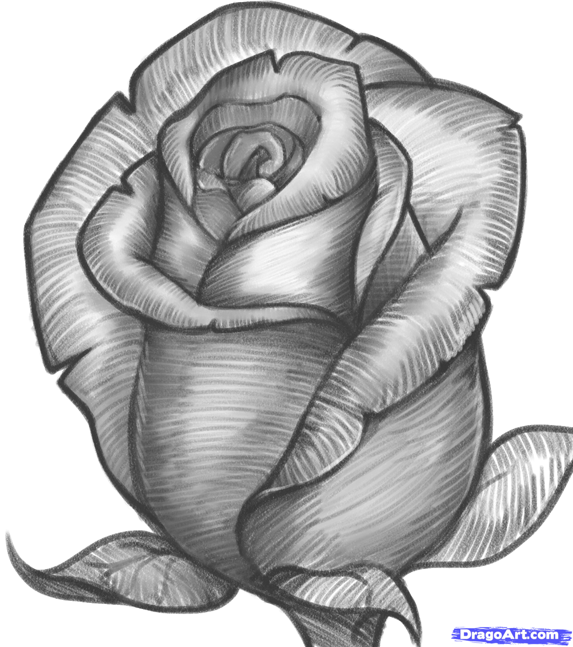 Álbumes 96+ Imagen Cute How To Draw A Rose Lleno