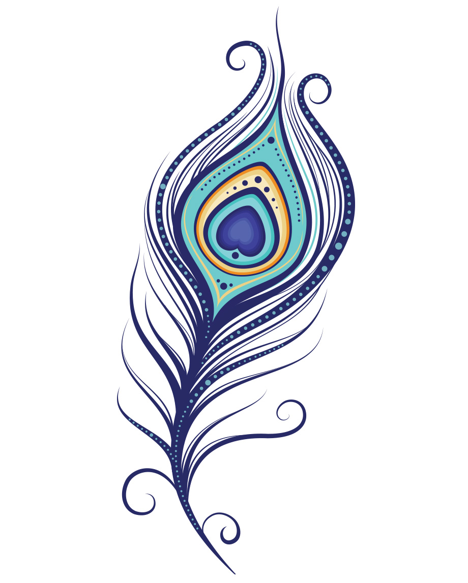 peacock feathers simple drawing - Clip Art Library