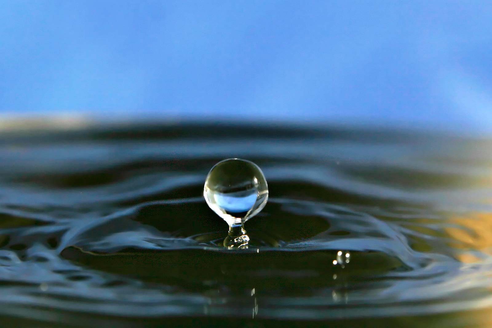 A single water droplet suspended above a rippling surface, captured mid-splash against a soft blue background.