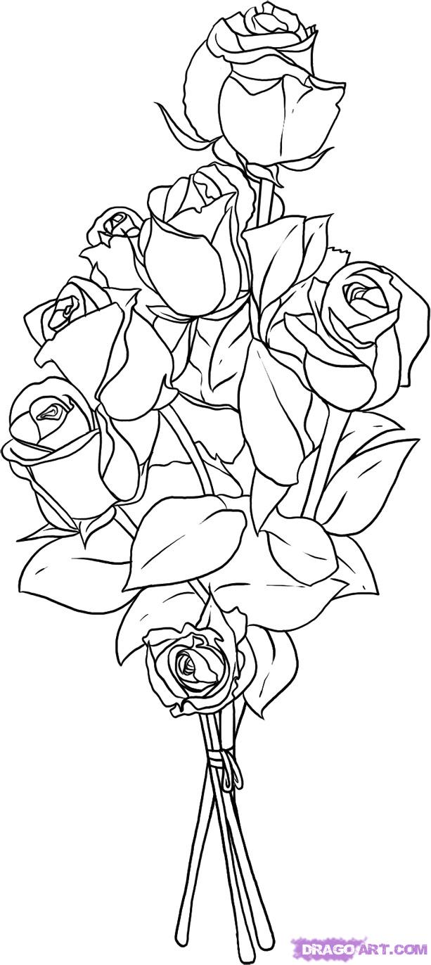 How to Draw Roses, Step by Step, Flowers, Pop Culture, FREE Online 