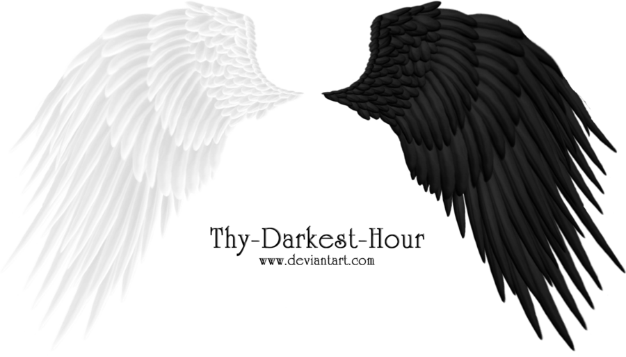 Angel Wings 08 PNG by Thy-Darkest-Hour on Clipart library