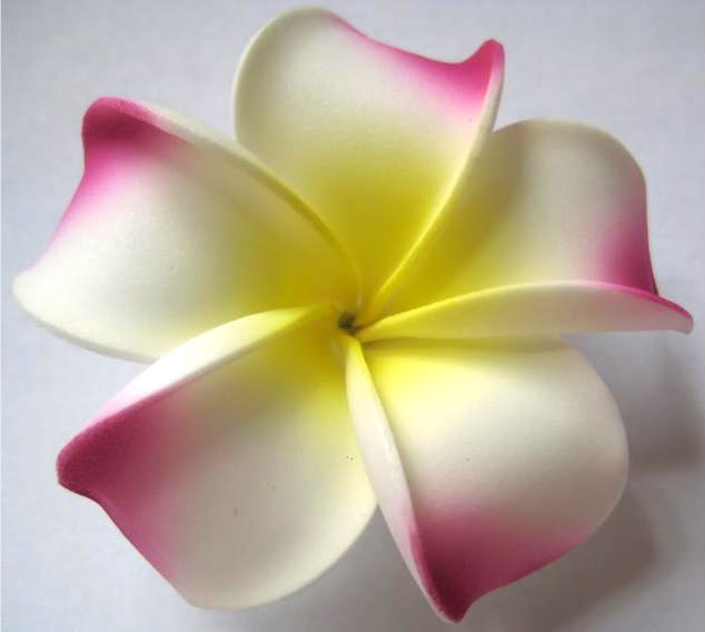 Free Hawaii Flower, Download Free Hawaii Flower png images, Free ...