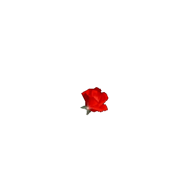 flower blooming gif transparent
