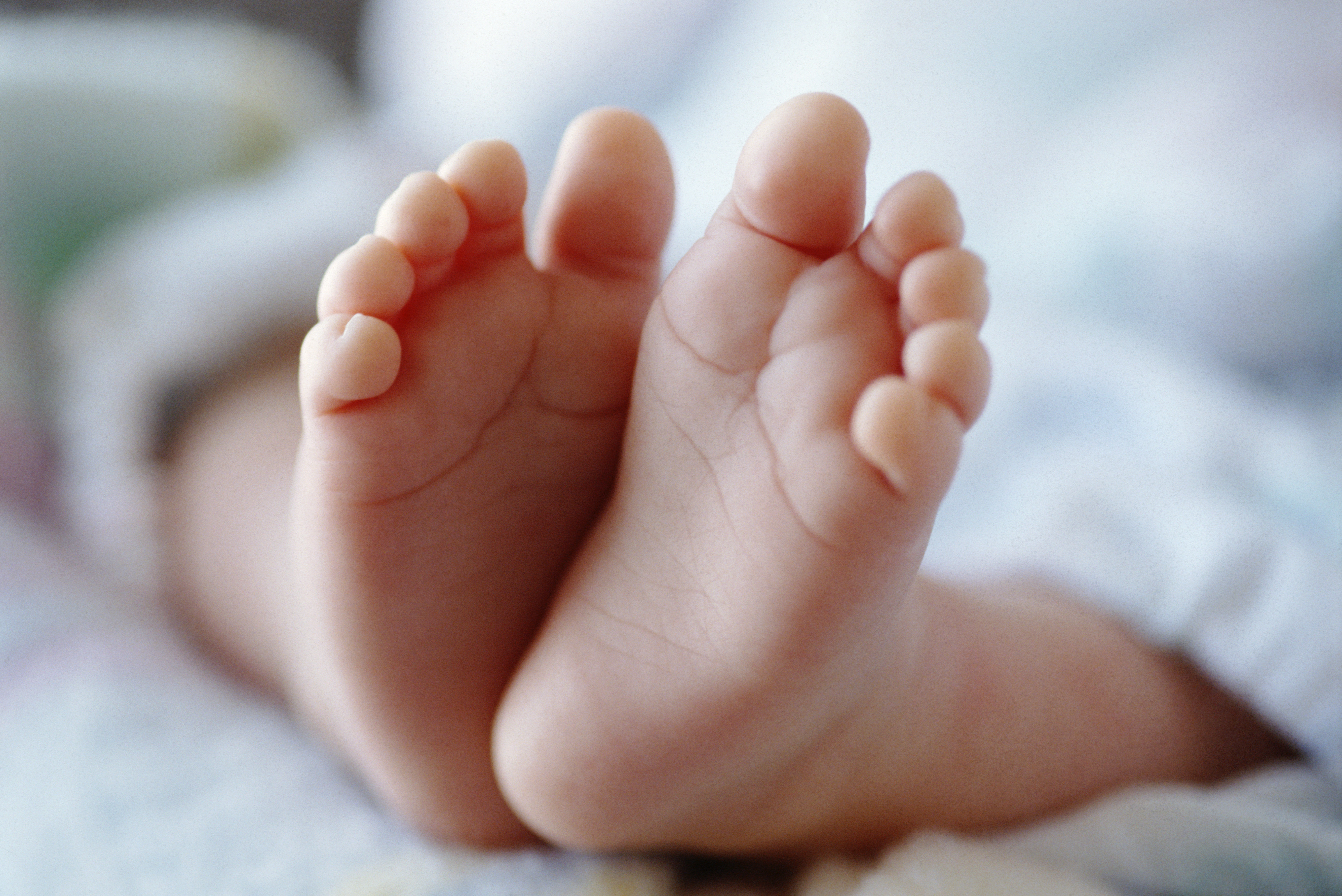 У мамы есть ноги. Пяточки малыша. Ноги младенца. Стопа младенца. Ножки новорожденного ребенка.