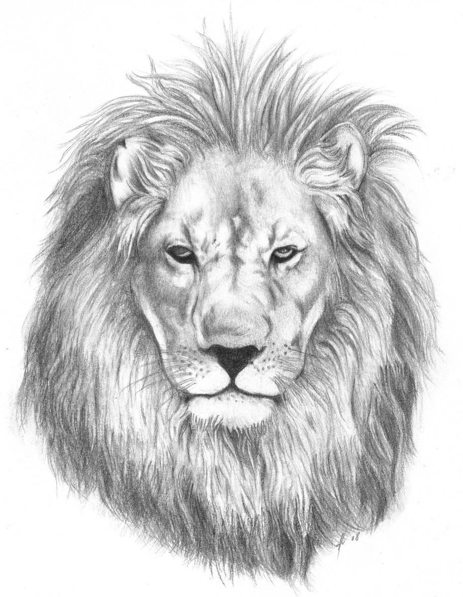 Paper Finished Lion Face Drawing Size A3