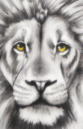 The Lion (SOLD)- Hyper Realistic Pencil (130hrs) Art Print | lupon.gov.ph