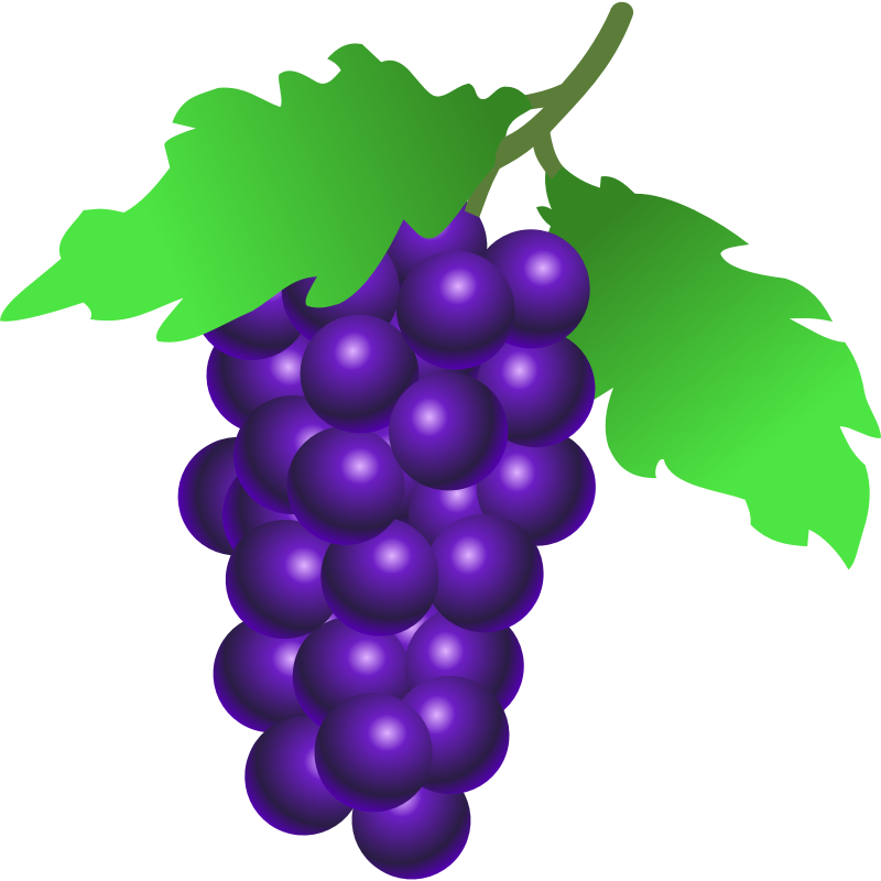 A vibrant cluster of purple grapes with green leaves on a stem, illustrated in a clean vector style.
