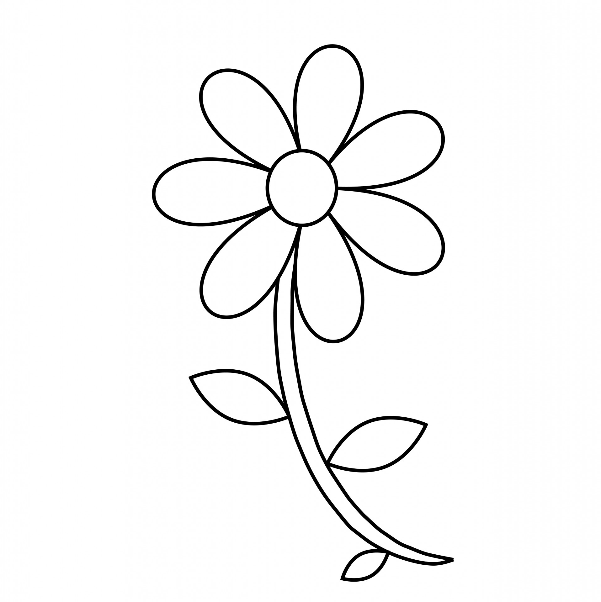 Black and white flower illustration, Flower Drawing, Flower Outline, white,  leaf png | PNGEgg