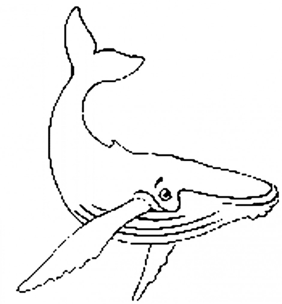 Free Humpback Whale Clipart, Download Free Humpback Whale Clipart png ...