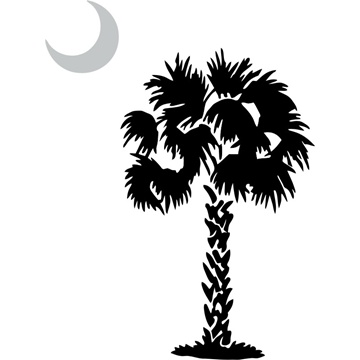 South Carolina State Flag Vector Illustration Stock Illustration  Download  Image Now  South Carolina South Carolina State Flag Palm Tree  iStock