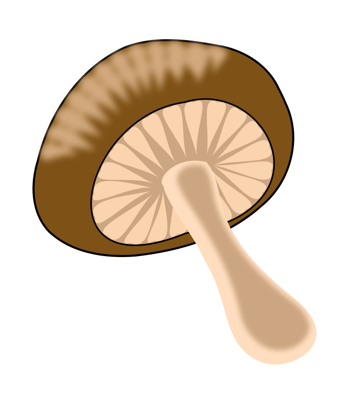 Illustration of a shiitake mushroom with brown cap, gills, and tan stem on black background.