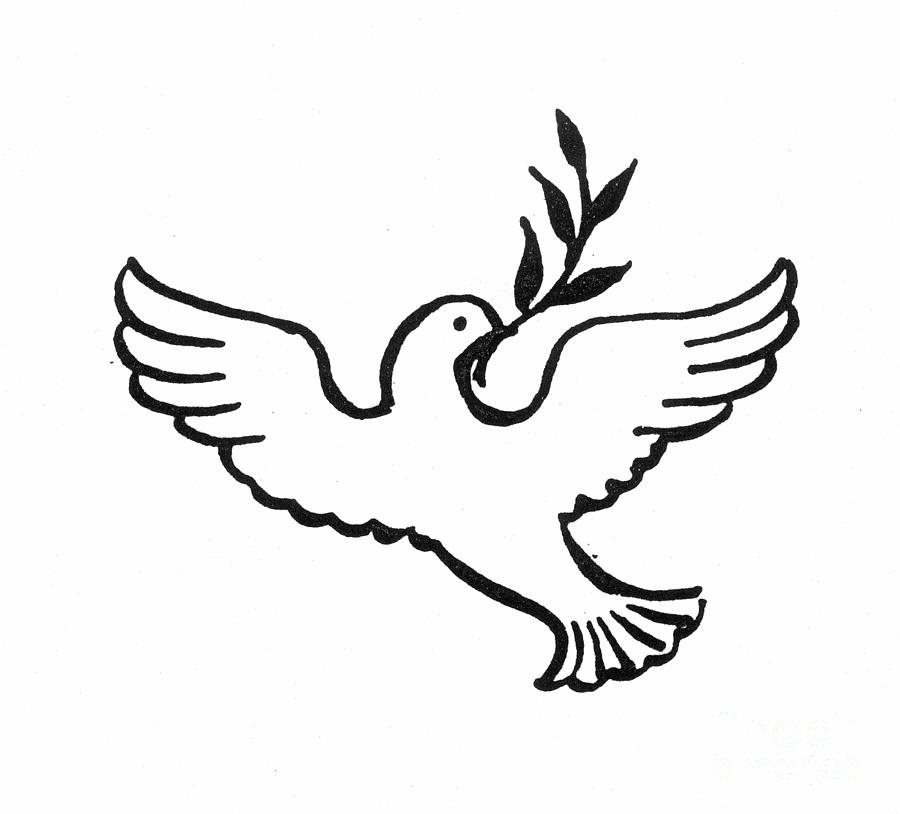 Peace Dove Image - AZ Coloring Pages