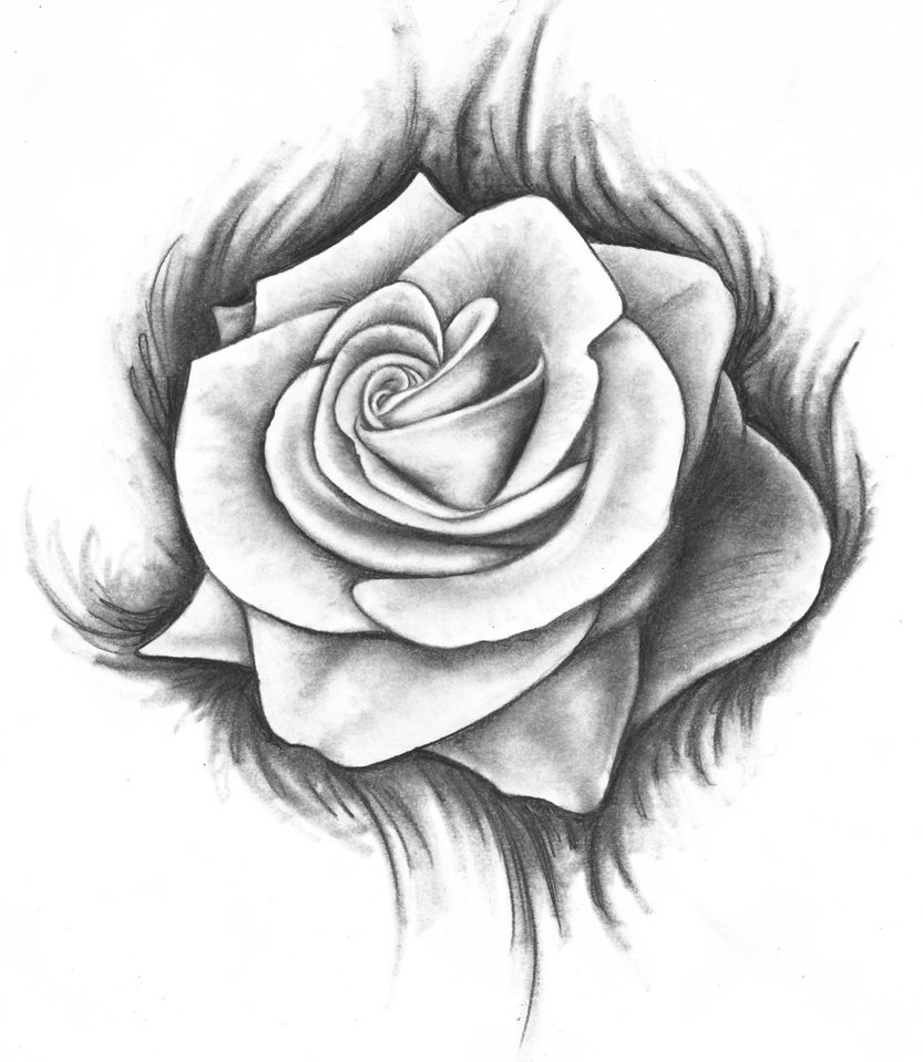 How to draw rose step by step Realistic rose drawing easy with pencil