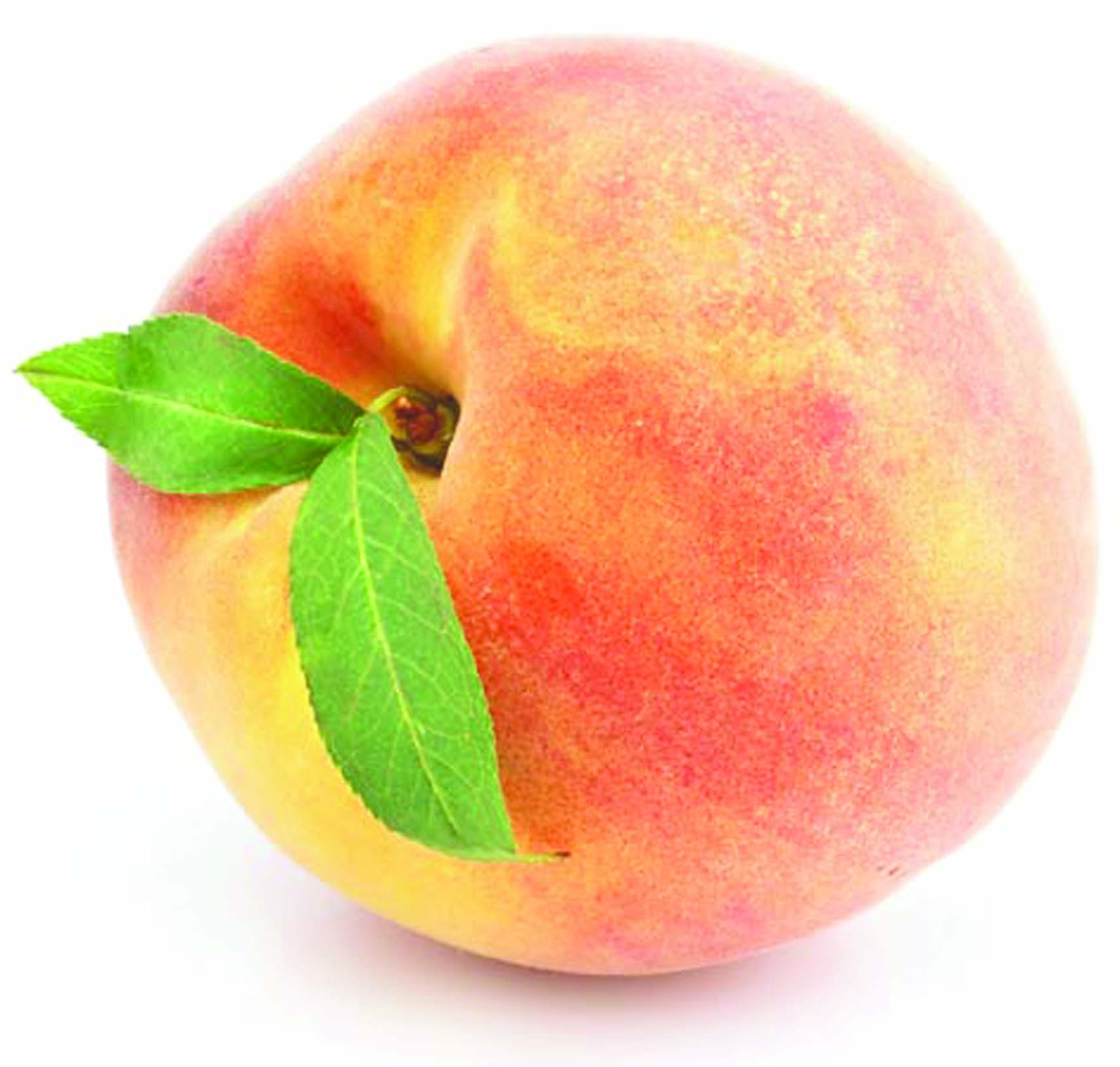 Ripe peach with vibrant red-yellow skin and two fresh green leaves, isolated on white background.