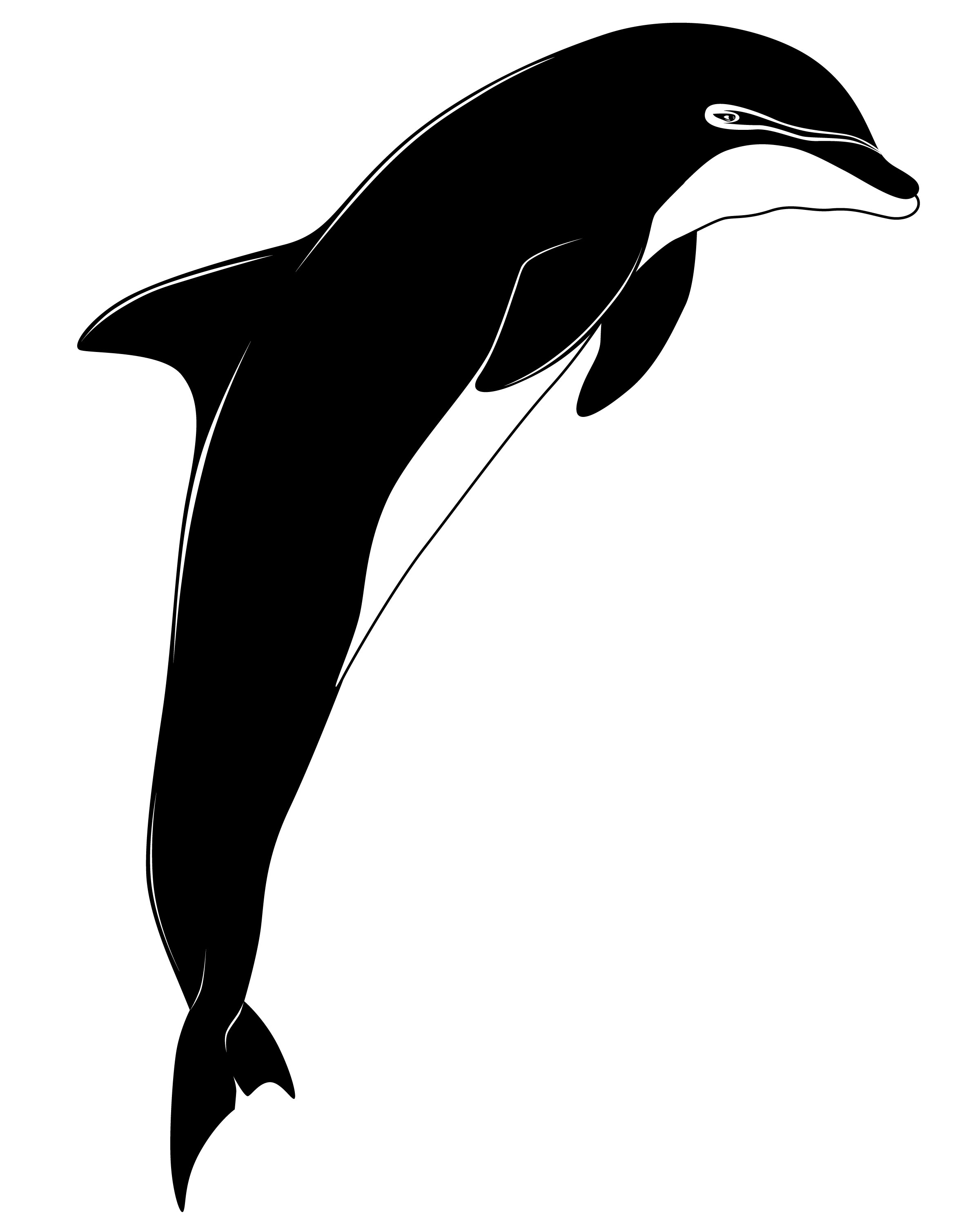 Dolphin Tattoo Designs – Meaning + Symbolism