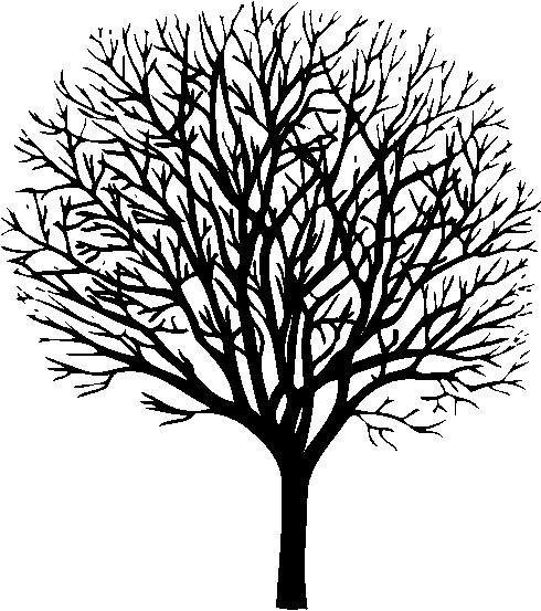trees art - Clip Art Library