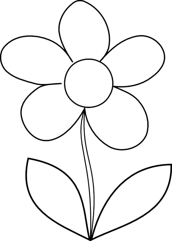 How to Draw Daisy Flower Coloring Page - Download  Print Online 