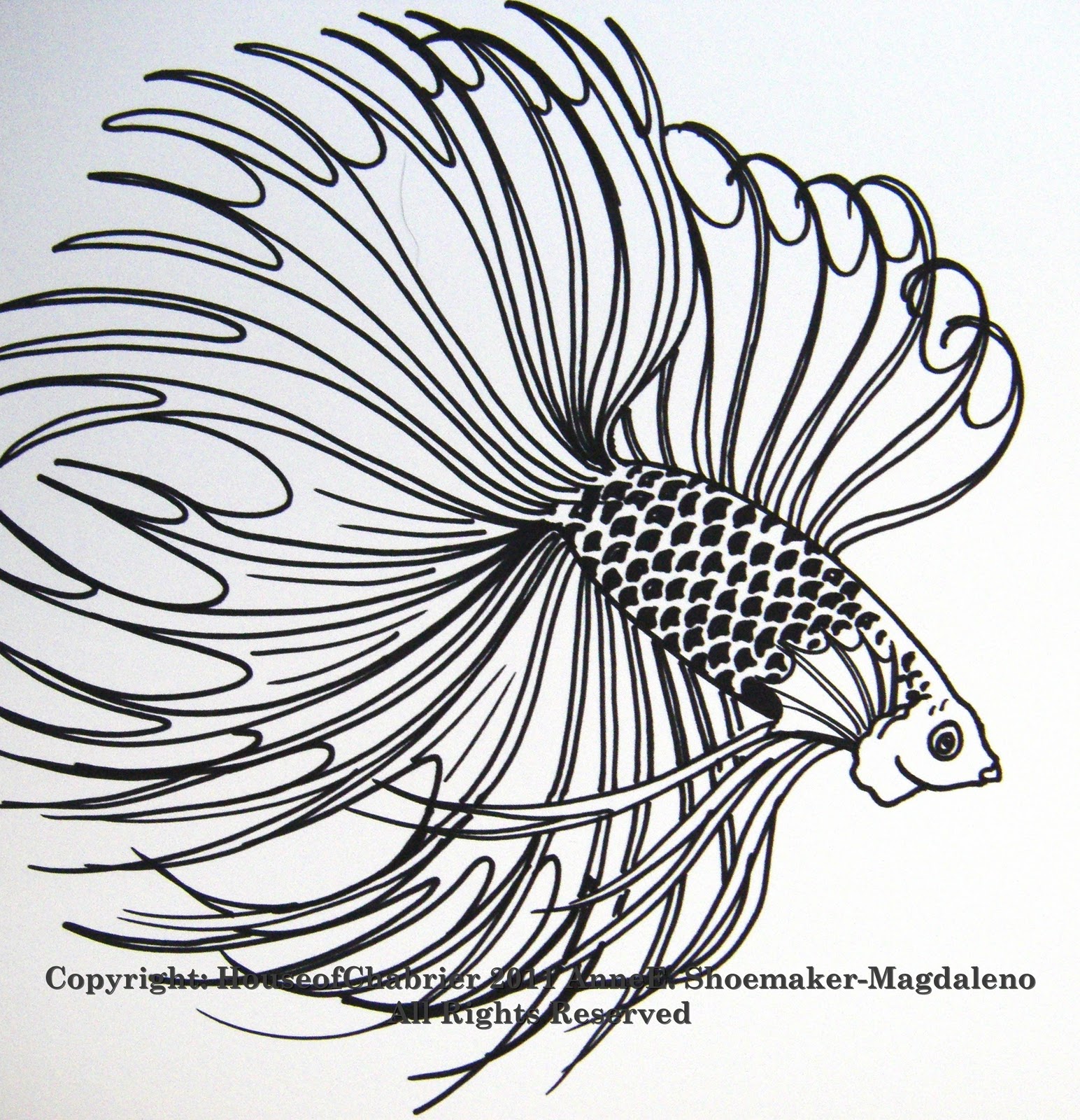 betta fish colouring pages - Clip Art Library